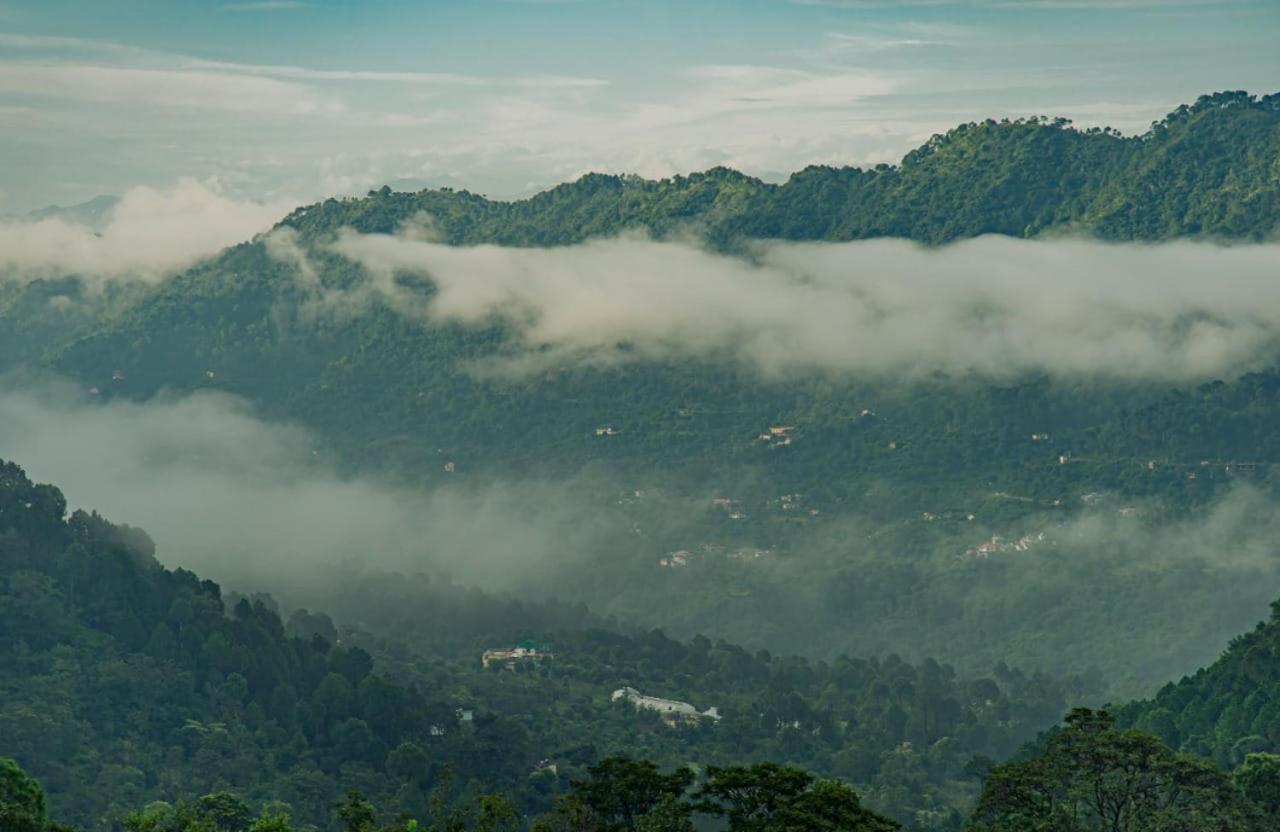 The Heritage Home Kasauli I Pine View Serviced Villa I Best Seller I Vacations I Family Events I Sky Bonfire I Kasauli By Exotic Stays Bagian luar foto