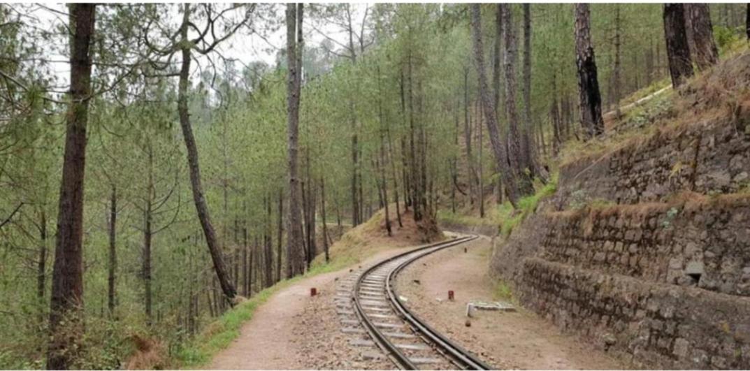 The Heritage Home Kasauli I Pine View Serviced Villa I Best Seller I Vacations I Family Events I Sky Bonfire I Kasauli By Exotic Stays Bagian luar foto