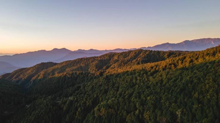 The Heritage Home Kasauli I Pine View Serviced Villa I Best Seller I Vacations I Family Events I Sky Bonfire I Kasauli By Exotic Stays Bagian luar foto