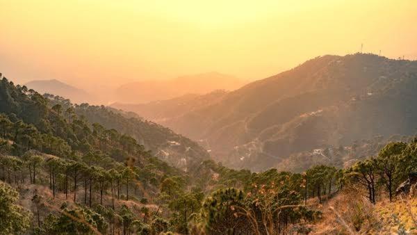 The Heritage Home Kasauli I Pine View Serviced Villa I Best Seller I Vacations I Family Events I Sky Bonfire I Kasauli By Exotic Stays Bagian luar foto