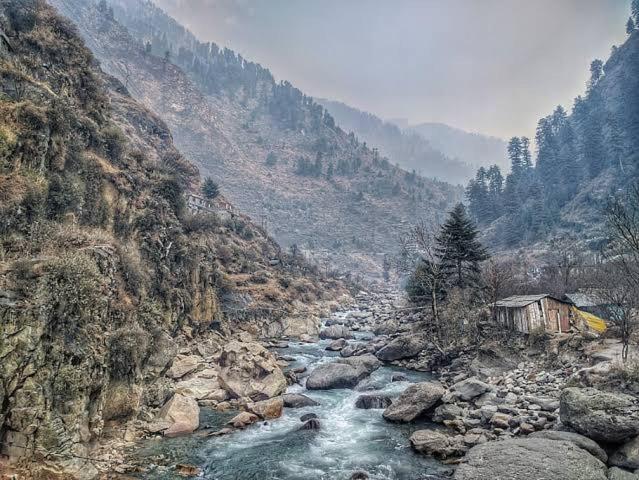 The Heritage Home Kasauli I Pine View Serviced Villa I Best Seller I Vacations I Family Events I Sky Bonfire I Kasauli By Exotic Stays Bagian luar foto