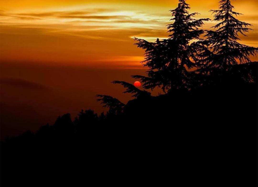 The Heritage Home Kasauli I Pine View Serviced Villa I Best Seller I Vacations I Family Events I Sky Bonfire I Kasauli By Exotic Stays Bagian luar foto